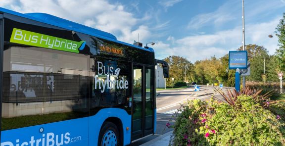 bus-distribus