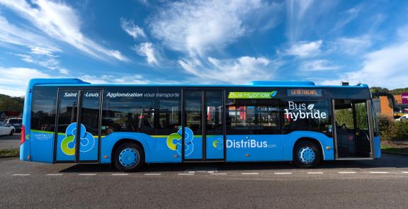 bus-distribus