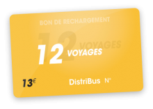 Carte 12 voyages (13 €)
