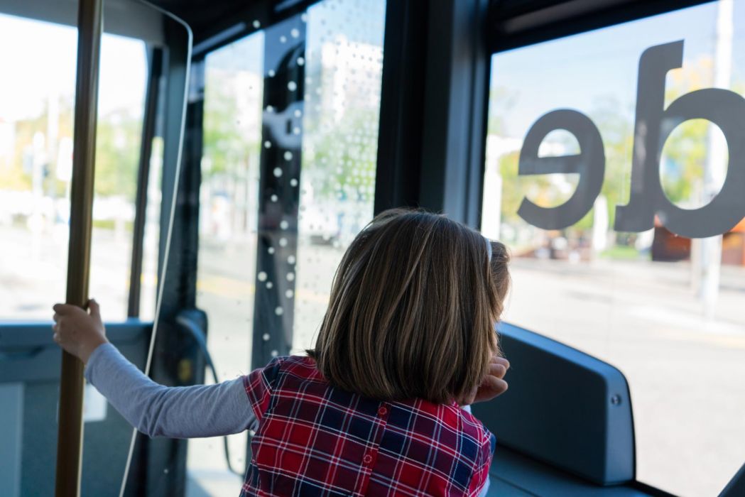 bus-distribus