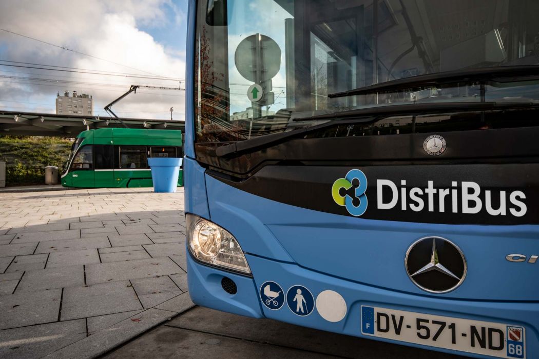 distribus-suisse