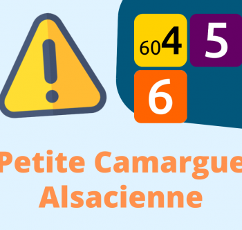 INFO TRAFIC 604 5 6