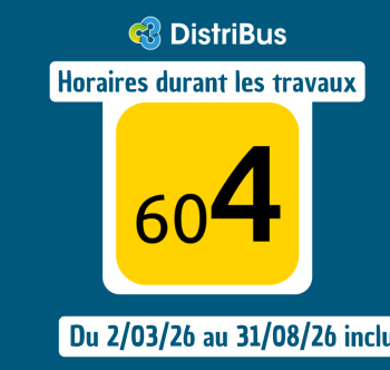 Vignette 604 travaux